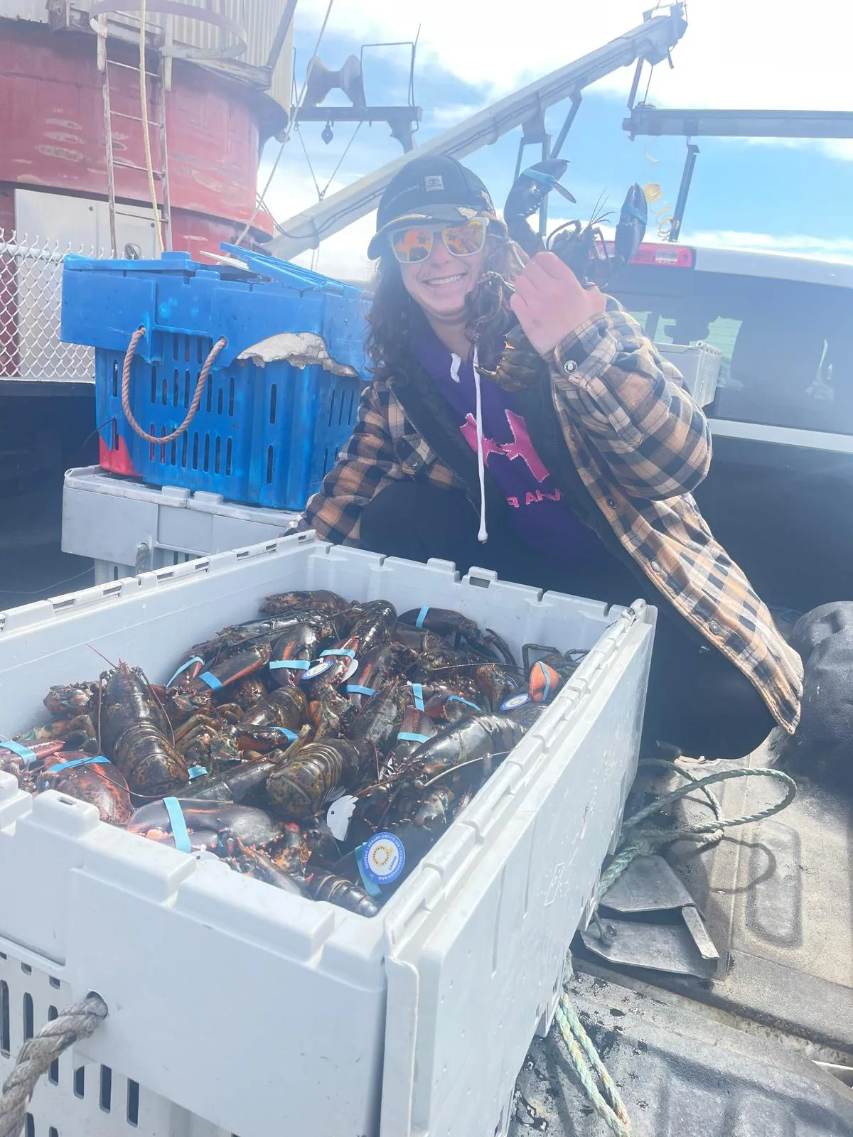 Haul check – Examination of a crate of lively lobsters during a dock-side quality inspection.