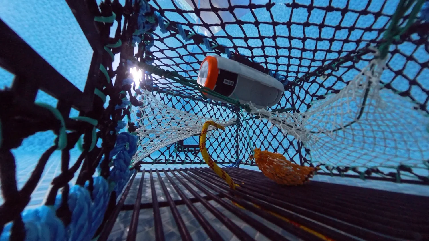 The bait bag released inside the creel after the preset delay